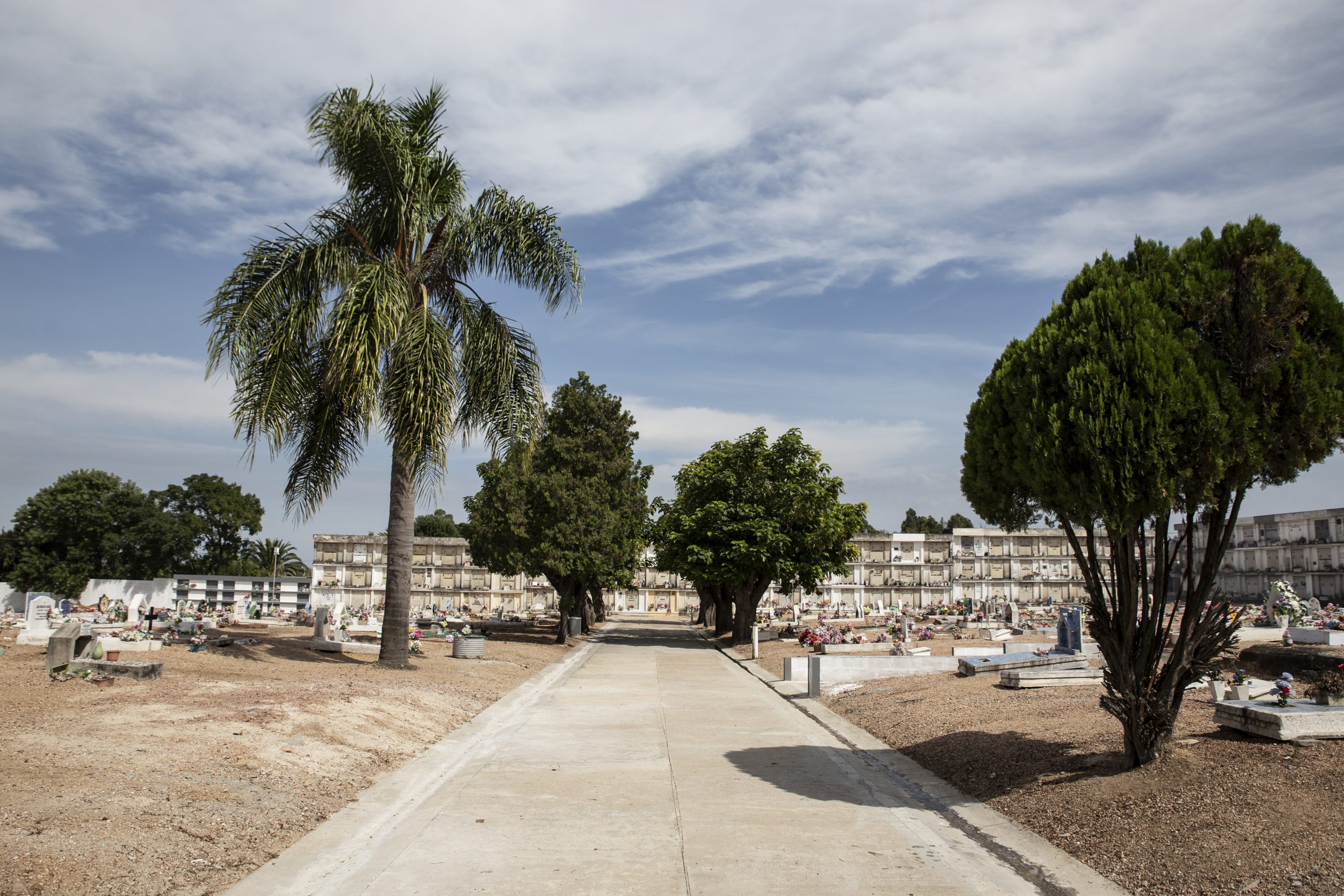Cementerio de La Paz 8