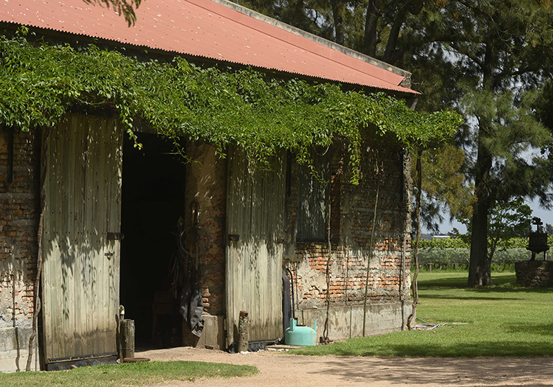 La historia de la bodega se remonta a 1830, cuando Don Francisco Joanicó construyó la cava subterránea dando un giro a la tradición ganadera del lugar. En 1979, la familia Deicas compró el establecimiento, instalando una de las bodegas uruguayas más reconocidas en el Uruguay y el exterior.