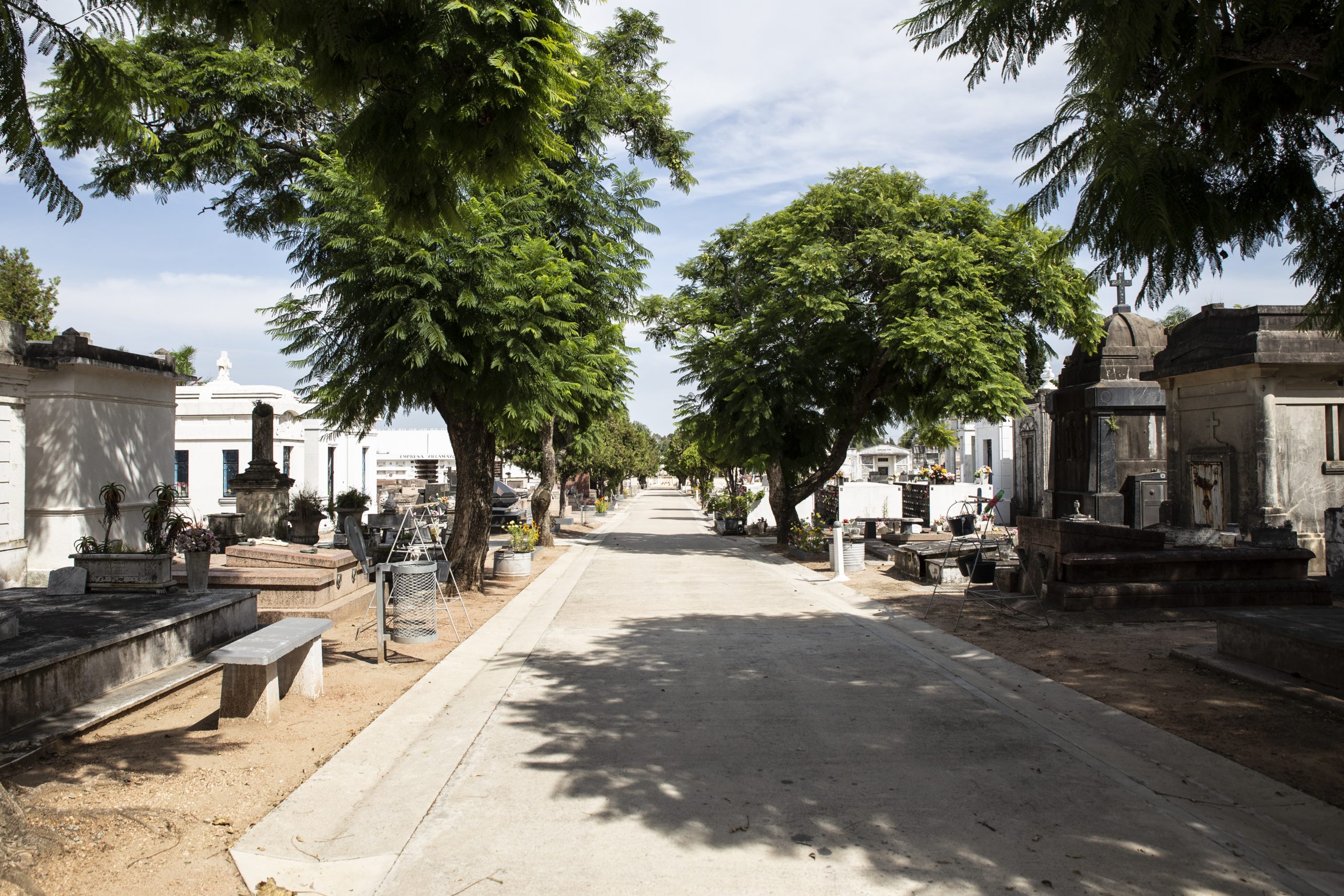 Cementerio de La Paz 1