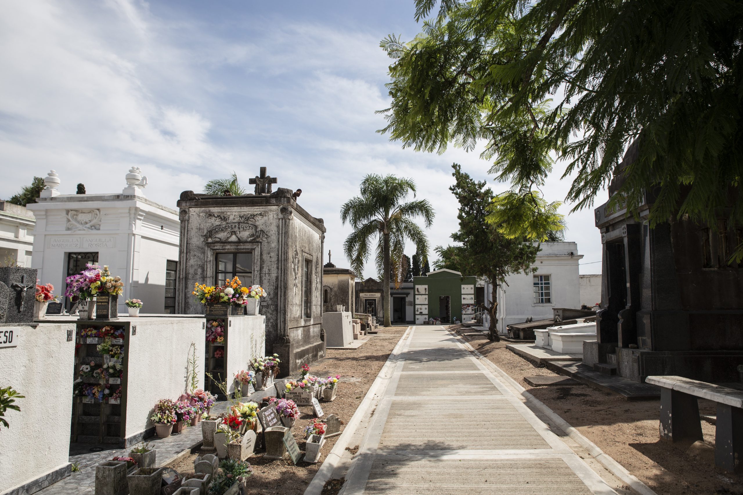 Cementerio de La Paz 4