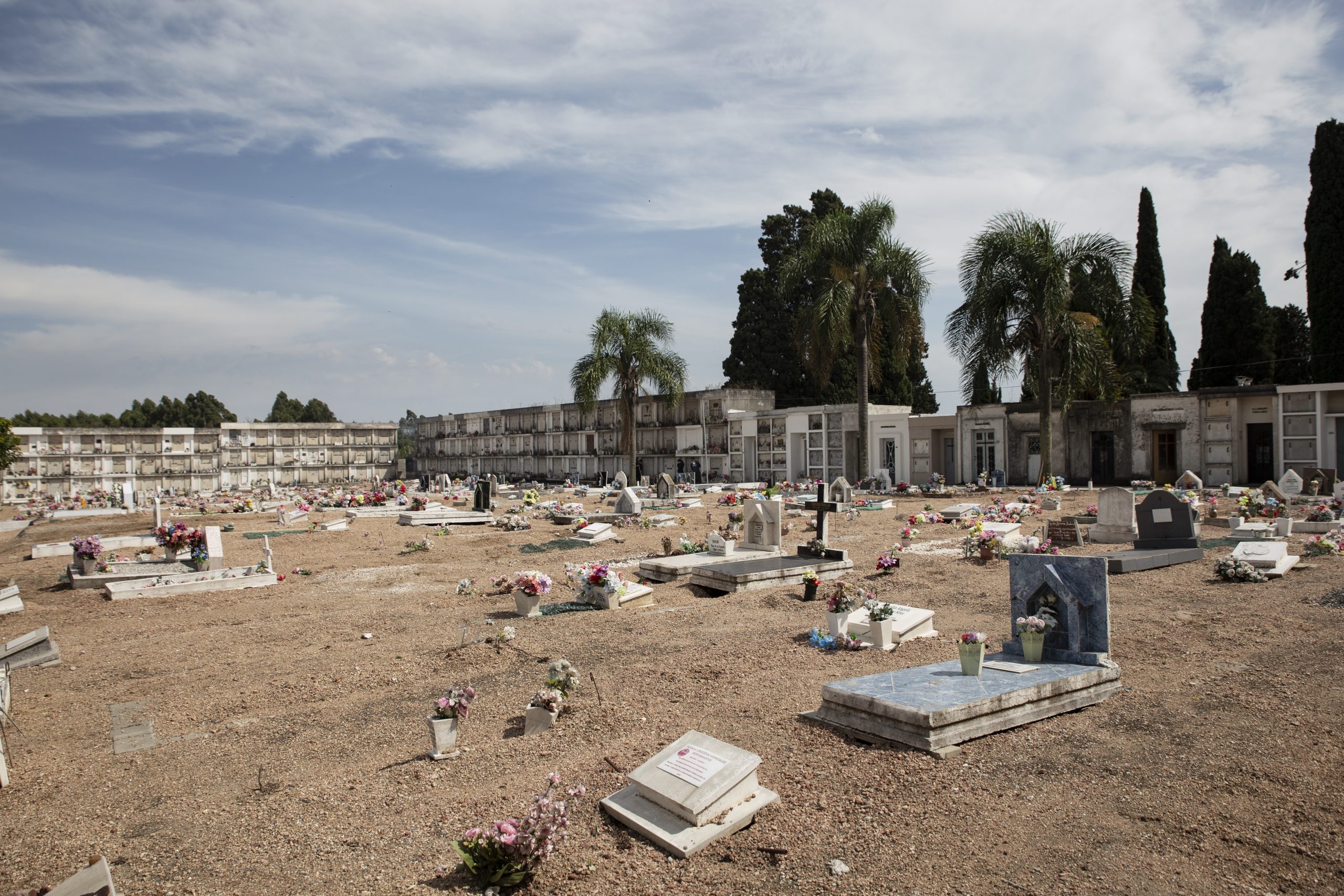 Cementerio de La Paz 6