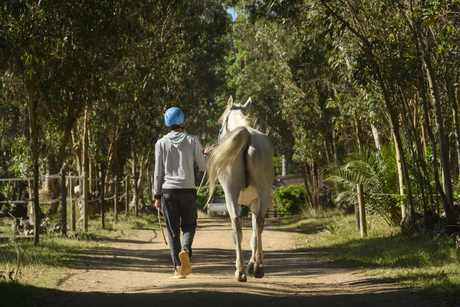 Haras Loma azul, ubicada en Floresta norte, cría y entrena caballos para competencia de raid.