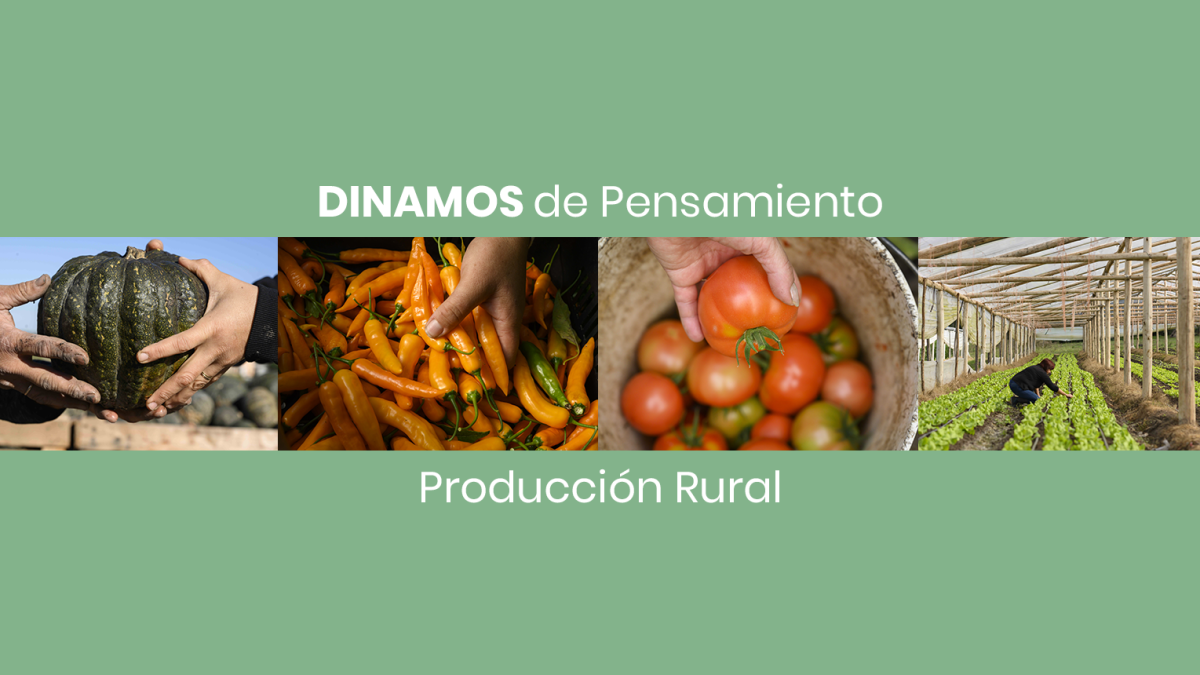 Conocé los documentos finales de los DINAMOS de Pensamiento sobre producción rural.