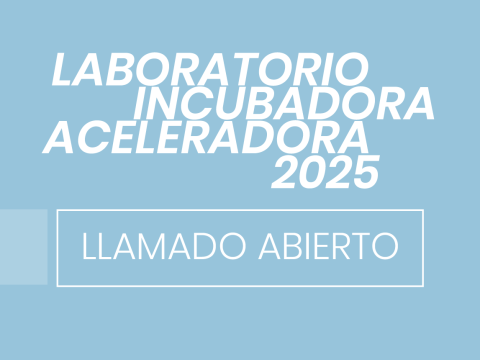 Llamado 2025